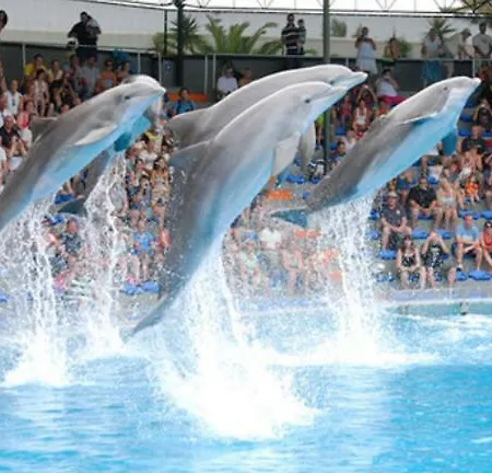 Apartment Fred E Kika Holidays Portimão